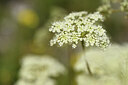 BUITEN BEELD Foto: 425691