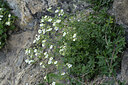 BUITEN BEELD Foto: 425692