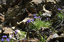 BUITEN BEELD Foto: 425713