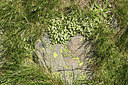 BUITEN BEELD Foto: 425747
