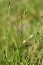 BUITEN BEELD Foto: 425819