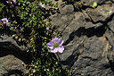 BUITEN BEELD Foto: 425823