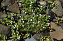 BUITEN BEELD Foto: 425827