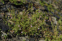 BUITEN BEELD Foto: 425830