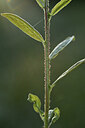 BUITEN BEELD Foto: 425843