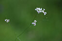 BUITEN BEELD Foto: 425878