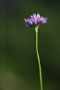 BUITEN BEELD Foto: 425892