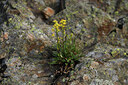 BUITEN BEELD Foto: 425931
