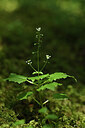 BUITEN BEELD Foto: 425954