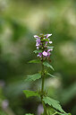 BUITEN BEELD Foto: 425974