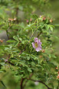 BUITEN BEELD Foto: 425977
