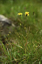 BUITEN BEELD Foto: 425989