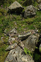BUITEN BEELD Foto: 426018
