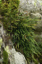 BUITEN BEELD Foto: 426025