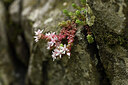 BUITEN BEELD Foto: 426026