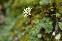 BUITEN BEELD Foto: 426036