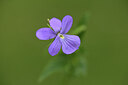 BUITEN BEELD Foto: 426051