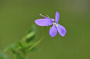 BUITEN BEELD Foto: 426052