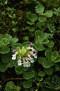 BUITEN BEELD Foto: 426057