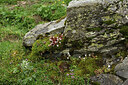 BUITEN BEELD Foto: 426061