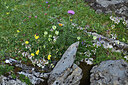 BUITEN BEELD Foto: 426124