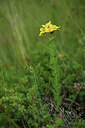 BUITEN BEELD Foto: 426136