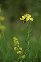 BUITEN BEELD Foto: 426138