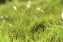 BUITEN BEELD Foto: 426176