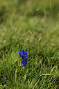 BUITEN BEELD Foto: 426183