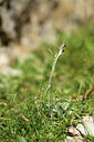 BUITEN BEELD Foto: 426200