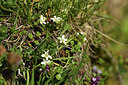 BUITEN BEELD Foto: 426214