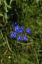 BUITEN BEELD Foto: 426216