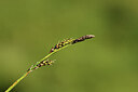 BUITEN BEELD Foto: 426225