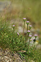 BUITEN BEELD Foto: 426228