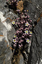 BUITEN BEELD Foto: 426240