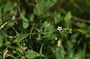 BUITEN BEELD Foto: 426259