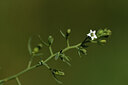 BUITEN BEELD Foto: 426260