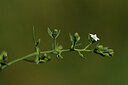 BUITEN BEELD Foto: 426261