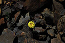 BUITEN BEELD Foto: 426264