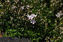 BUITEN BEELD Foto: 426265