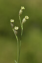 BUITEN BEELD Foto: 426272
