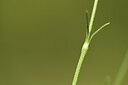 BUITEN BEELD Foto: 426273