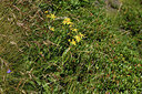 BUITEN BEELD Foto: 426276
