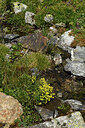 BUITEN BEELD Foto: 426328
