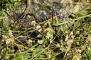 BUITEN BEELD Foto: 426359