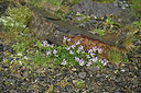 BUITEN BEELD Foto: 426463