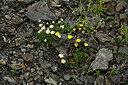 BUITEN BEELD Foto: 426468