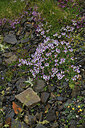 BUITEN BEELD Foto: 426470
