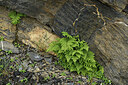 BUITEN BEELD Foto: 426471