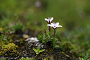 BUITEN BEELD Foto: 426492